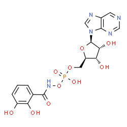 ChemSpider 2D Image | 9-{5-O-[{[(2,3-Dihydroxybenzoyl)amino]oxy}(hydroxy)phosphoryl]-beta-D-ribofuranosyl}-9H-purine | C17H18N5O10P