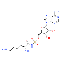ChemSpider 2D Image | 5'-O-(L-Lysylsulfamoyl)adenosine | C16H26N8O7S