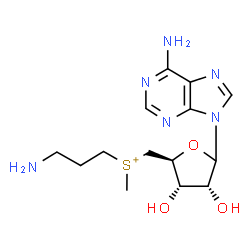 ChemSpider 2D Image | (3-Aminopropyl){[(2S,3S,4R)-5-(6-amino-9H-purin-9-yl)-3,4-dihydroxytetrahydro-2-furanyl]methyl}methylsulfonium | C14H23N6O3S