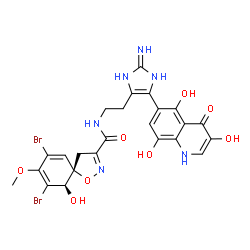 ChemSpider 2D Image | (5S,10R)-N-{2-[2-Amino-4-(3,5,8-trihydroxy-4-oxo-1,4-dihydro-6-quinolinyl)-1H-imidazol-5-yl]ethyl}-7,9-dibromo-10-hydroxy-8-methoxy-1-oxa-2-azaspiro[4.5]deca-2,6,8-triene-3-carboxamide | C24H22Br2N6O8
