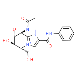 ChemSpider 2D Image | (5R,6R,7R,8S)-8-Acetamido-6,7-dihydroxy-5-(hydroxymethyl)-2-(phenylcarbamoyl)-5,6,7,8-tetrahydro-1H-imidazo[1,2-a]pyridin-4-ium | C17H21N4O5
