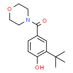 ChemSpider 2D Image | (3-tert-butyl-4-hydroxyphenyl)morpholin-4-yl-methanone | C15H21NO3