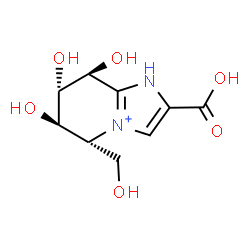 ChemSpider 2D Image | (5R,6R,7S,8S)-2-Carboxy-6,7,8-trihydroxy-5-(hydroxymethyl)-5,6,7,8-tetrahydro-1H-imidazo[1,2-a]pyridin-4-ium | C9H13N2O6
