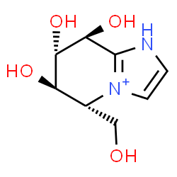 ChemSpider 2D Image | (5R,6R,7S,8S)-6,7,8-Trihydroxy-5-(hydroxymethyl)-5,6,7,8-tetrahydro-1H-imidazo[1,2-a]pyridin-4-ium | C8H13N2O4