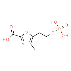 ChemSpider 2D Image | 2-(2-carboxy-4-methylthiazol-5-yl)ethyl phosphate | C7H10NO6PS