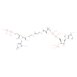 ChemSpider 2D Image | 3-[(4-Amino-2-methyl-5-pyrimidinyl)methyl]-2-{(9R,19R)-1-[(2R,3S,4R,5R)-5-(6-amino-9H-purin-9-yl)-4-hydroxy-3-(phosphonooxy)tetrahydro-2-furanyl]-3,5,9,19-tetrahydroxy-8,8-dimethyl-3,5-dioxido-10,14-d
ioxo-2,4,6-trioxa-18-thia-11,15-diaza-3lambda~5~,5lambda~5~-diphosphanonadecan-19-yl}-5-(2-{[hydroxy(phosphonooxy)phosphoryl]oxy}ethyl)-4-methyl-1,3-thiazol-3-ium | C34H55N11O24P5S2