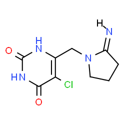 ChemSpider 2D Image | 5-Chloro-6-{[(2Z)-2-imino-1-pyrrolidinyl]methyl}-2,4(1H,3H)-pyrimidinedione | C9H11ClN4O2
