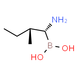ChemSpider 2D Image | ISOLEUCINE BORONIC ACID | C5H14BNO2