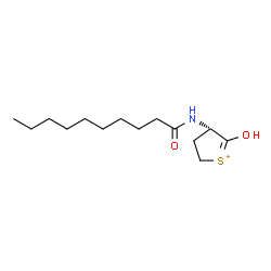 ChemSpider 2D Image | (4S)-4-(Decanoylamino)-5-hydroxy-3,4-dihydro-2H-thiophenium | C14H26NO2S