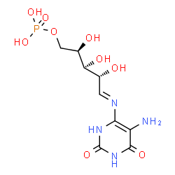 ChemSpider 2D Image | [(2R,3S,4R,5E)-5-[(5-amino-2,6-dioxo-3H-pyrimidin-4-yl)imino]-2,3,4-trihydroxy-pentyl] dihydrogen phosphate | C9H15N4O9P