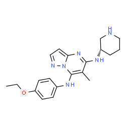 ChemSpider 2D Image | N~7~-(4-Ethoxyphenyl)-6-methyl-N~5~-[(3S)-3-piperidinyl]pyrazolo[1,5-a]pyrimidine-5,7-diamine | C20H26N6O