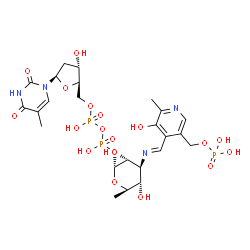 ChemSpider 2D Image | (2R,3R,4S,5S,6R)-3,5-dihydroxy-4-{[(1E)-{3-hydroxy-2-methyl-5-[(phosphonooxy)methyl]pyridin-4-yl}methylidene]amino}-6-methyltetrahydro-2H-pyran-2-yl [(2R,3S,5R)-3-hydroxy-5-(5-methyl-2,4-dioxo-3,4-dihydropyrimidin-1(2H)-yl)tetrahydrofuran-2-yl]methyl | C24H35N4O19P3