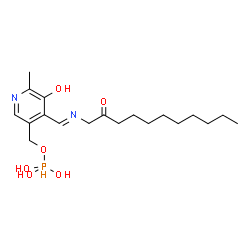 ChemSpider 2D Image | 1-{(E)-[(3-Hydroxy-2-methyl-5-{[(trihydroxyphosphoranyl)oxy]methyl}-4-pyridinyl)methylene]amino}-2-undecanone | C19H33N2O6P