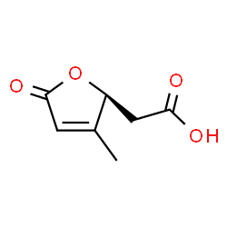 ChemSpider 2D Image | [(2S)-3-Methyl-5-oxo-2,5-dihydro-2-furanyl]acetic acid | C7H8O4