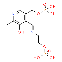 ChemSpider 2D Image | {5-Hydroxy-6-methyl-4-[(E)-{[2-(phosphonooxy)ethyl]imino}methyl]-3-pyridinyl}methyl dihydrogen phosphate | C10H16N2O9P2