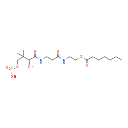 ChemSpider 2D Image | S-(2-{[N-(2-HYDROXY-4-{[HYDROXY(OXIDO)PHOSPHINO]OXY}-3,3-DIMETHYLBUTANOYL)-BETA-ALANYL]AMINO}ETHYL) HEPTANETHIOATE | C18H35N2O7PS