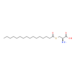 ChemSpider 2D Image | S-PALMITOYL CYSTEINE | C19H37NO3S