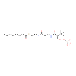 ChemSpider 2D Image | S-[2-({N-[(2S)-2-Hydroxy-3,3-dimethyl-4-(phosphonooxy)butanoyl]-beta-alanyl}amino)ethyl] octanethioate | C19H37N2O8PS
