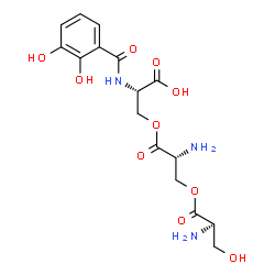 ChemSpider 2D Image | O-[(2R)-2-Amino-3-(D-seryloxy)propanoyl]-N-(2,3-dihydroxybenzoyl)-L-serine | C16H21N3O10