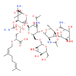 ChemSpider 2D Image | (2R)-3-{[{[(2R,3R,4R,5S,6S)-3-{[(2S,3R,4R,5S,6R)-3-Acetamido-5-{[(2S,3R,4R,5S,6R)-3-acetamido-5-{[(2R,3R,4S,5R,6S)-6-carbamoyl-3,4,5-trihydroxytetrahydro-2H-pyran-2-yl]oxy}-4-hydroxy-6-methyltetrahydr
o-2H-pyran-2-yl]oxy}-4-hydroxy-6-({[(2R,3R,4S,5S,6R)-3,4,5-trihydroxy-6-(hydroxymethyl)tetrahydro-2H-pyran-2-yl]oxy}methyl)tetrahydro-2H-pyran-2-yl]oxy}-6-carbamoyl-4-(carbamoyloxy)-5-hydroxy-5-methyl
tetrahydro-2H-pyran-2-yl]oxy}(hydroxy)phosph | C49H80N5O32P