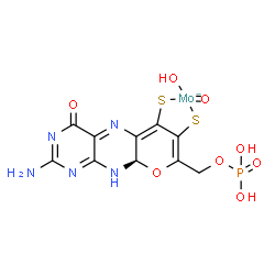 ChemSpider 2D Image | {[(9aR)-2-Amino-4-oxo-6,7-di(sulfanyl-kappaS)-9a,10-dihydro-4H-pyrano[3,2-g]pteridin-8-yl]methyl dihydrogenato(2-) phosphate}(hydroxy)oxomolybdate(1-) | C10H9MoN5O8PS2