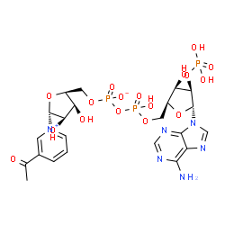 ChemSpider 2D Image | [(2S,3S,4R,5R)-5-(3-acetylpyridin-1-ium-1-yl)-3,4-dihydroxy-tetrahydrofuran-2-yl]methyl [[(2S,3R,4R,5R)-5-(6-aminopurin-9-yl)-3-hydroxy-4-phosphonooxy-tetrahydrofuran-2-yl]methoxy-hydroxy-phosphoryl] phosphate | C22H29N6O17P3