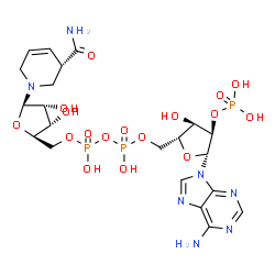 ChemSpider 2D Image | 1,4,5,6-Tetrahydronicotinamide Adenine Dinucleotide Phosphate | C21H32N7O17P3