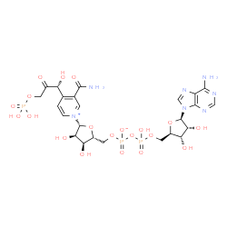 ChemSpider 2D Image | 4-[(1R)-1-hydroxy-2-oxo-3-phosphonooxypropyl]nicotinamide adenine dinucleotide | C24H32N7O20P3