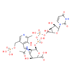 ChemSpider 2D Image | (2S,3S,4R,5R,6R)-5-(acetylamino)-6-{[(R)-{[(S)-{[(2R,3S,4R,5R)-5-(2,4-dioxo-3,4-dihydropyrimidin-1(2H)-yl)-3,4-dihydroxytetrahydrofuran-2-yl]methoxy}(hydroxy)phosphoryl]oxy}(hydroxy)phosphoryl]oxy}-3-hydroxy-4-{[(1E)-{3-hydroxy-2-methyl-5-[(phosphono | C25H34N5O22P3