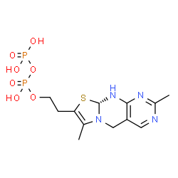 ChemSpider 2D Image | 2-[(9aR)-2,7-Dimethyl-9a,10-dihydro-5H-pyrimido[4,5-d][1,3]thiazolo[3,2-a]pyrimidin-8-yl]ethyl trihydrogen diphosphate | C12H18N4O7P2S