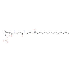 ChemSpider 2D Image | {(3S)-3-Hydroxy-2,2-dimethyl-4-oxo-4-[(3-oxo-3-{[2-(tetradecanoylsulfanyl)ethyl]amino}propyl)amino]butoxy}(oxo)phosphoniumolate | C25H47N2O7PS