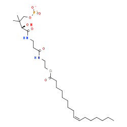 ChemSpider 2D Image | [(3S)-4-{[3-({2-[(9Z)-9-Hexadecenoylsulfanyl]ethyl}amino)-3-oxopropyl]amino}-3-hydroxy-2,2-dimethyl-4-oxobutoxy](oxo)phosphoniumolate | C27H49N2O7PS
