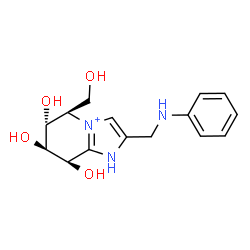 ChemSpider 2D Image | (5R,6R,7S,8R)-2-(Anilinomethyl)-6,7,8-trihydroxy-5-(hydroxymethyl)-5,6,7,8-tetrahydro-1H-imidazo[1,2-a]pyridin-4-ium | C15H20N3O4