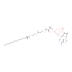 ChemSpider 2D Image | (2R)-2-methyltetradecanoyl-CoA | C36H64N7O17P3S