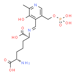 ChemSpider 2D Image | (2S,6S)-2-Amino-6-[(E)-({3-hydroxy-2-methyl-5-[(phosphonooxy)methyl]-4-pyridinyl}methylene)amino]heptanedioic acid | C15H22N3O9P
