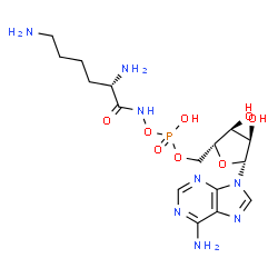 ChemSpider 2D Image | 5'-O-{Hydroxy[(L-lysylamino)oxy]phosphoryl}adenosine | C16H27N8O8P