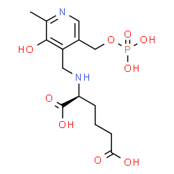 ChemSpider 2D Image | (2S)-2-[({3-Hydroxy-2-methyl-5-[(phosphonooxy)methyl]-4-pyridinyl}methyl)amino]hexanedioic acid | C14H21N2O9P