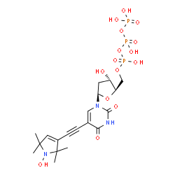 ChemSpider 2D Image | 2'-Deoxy-5-[(1-hydroxy-2,2,5,5-tetramethyl-2,5-dihydro-1H-pyrrol-3-yl)ethynyl]uridine 5'-(tetrahydrogen triphosphate) | C19H28N3O15P3