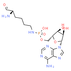 ChemSpider 2D Image | 5'-O-[{[(5S)-5-Amino-6-oxohexyl]amino}(hydroxy)phosphoryl]adenosine | C16H26N7O7P