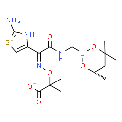 ChemSpider 2D Image | 2-({(Z)-[1-(2-Amino-3H-1,3-thiazol-1-ium-4-yl)-2-oxo-2-({[(6S)-4,4,6-trimethyl-1,3,2-dioxaborinan-2-yl]methyl}amino)ethylidene]amino}oxy)-2-methylpropanoate | C16H25BN4O6S