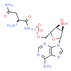 ChemSpider 2D Image | 5'-O-{[(2S)-4-Amino-2-ammonio-4-oxobutanoyl]sulfamoyl}adenosine | C14H21N8O8S