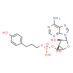 ChemSpider 2D Image | 5'-O-{Hydroxy[3-(4-hydroxyphenyl)propoxy]phosphoryl}adenosine | C19H24N5O8P