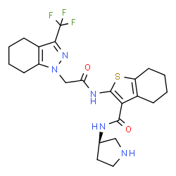 ChemSpider 2D Image | N-[(3R)-3-Pyrrolidinyl]-2-({[3-(trifluoromethyl)-4,5,6,7-tetrahydro-1H-indazol-1-yl]acetyl}amino)-4,5,6,7-tetrahydro-1-benzothiophene-3-carboxamide | C23H28F3N5O2S