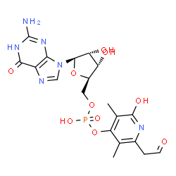 ChemSpider 2D Image | 5'-O-(Hydroxy{[2-hydroxy-3,5-dimethyl-6-(2-oxoethyl)-4-pyridinyl]oxy}phosphoryl)guanosine | C19H23N6O10P