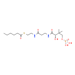 ChemSpider 2D Image | S-[2-({N-[(2S)-2-Hydroxy-3,3-dimethyl-4-(phosphonooxy)butanoyl]-beta-alanyl}amino)ethyl] hexanethioate | C17H33N2O8PS