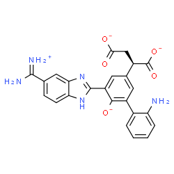 ChemSpider 2D Image | (2R)-2-(2'-Amino-5-{5-[ammonio(imino)methyl]-1H-benzimidazol-2-yl}-6-oxido-3-biphenylyl)succinate | C24H19N5O5