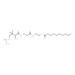 ChemSpider 2D Image | S-(2-{[N-(2-hydroxy-4-{[hydroxy(oxido)phosphino]oxy}-3,3-dimethylbutanoyl)-beta-alanyl]amino}ethyl) decanethioate | C21H41N2O7PS