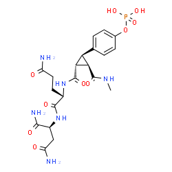 ChemSpider 2D Image | N~2~-({(1r,2r,3s)-2-(Methylcarbamoyl)-3-[4-(Phosphonooxy)phenyl]cyclopropyl}carbonyl)-D-Glutaminyl-D-Aspartamide | C21H29N6O10P