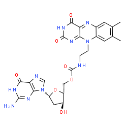 ChemSpider 2D Image | 2'-Deoxy-5'-O-{[2-(7,8-dimethyl-2,4-dioxo-3,4-dihydrobenzo[g]pteridin-10(2H)-yl)ethyl]carbamoyl}guanosine | C25H26N10O7