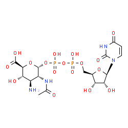 ChemSpider 2D Image | UDP-2-acetamido-3-amino-2,3-dideoxy-alpha-D-glucuronic acid | C17H26N4O17P2